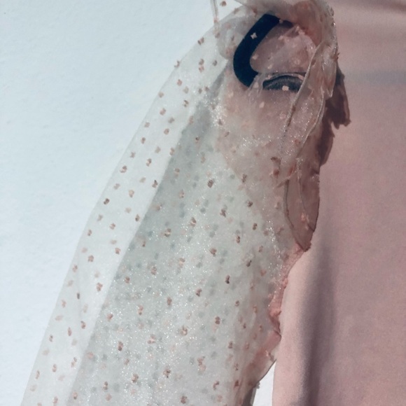 Mark New York Blush  Pink Long Sheer Polka Puff Sleeves Blouse With Ruff… - Picture 4 of 6